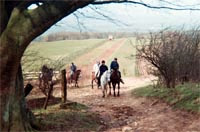 Contact Cotswolds Riding