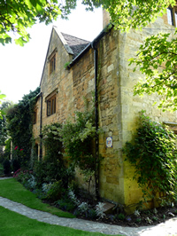 The vine - side on