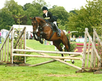 Horse jumping