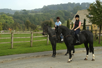 Riding in the Cotswolds