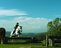 Cross country in the Cotswolds