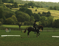 Horse dressage