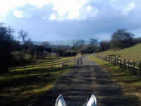 Cotswold ears