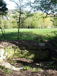 Wooded area in the Cotswolds.