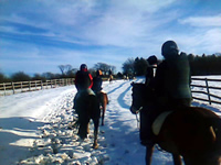 Riding in the snow in the Cotswolds