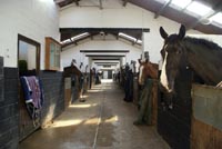 Riding stables
