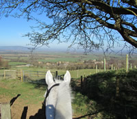 A view from the Cotswolds