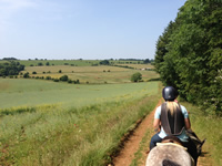 A first person view of the Cotswolds